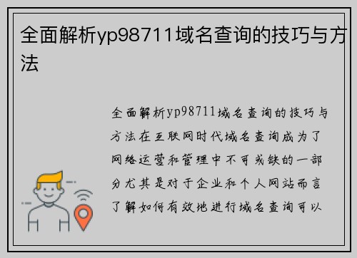 全面解析yp98711域名查询的技巧与方法